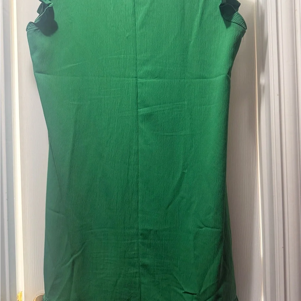 SHEIN Emerald Ruffle Sleeve V-Neck Blouse (M) - Picture 2 of 4